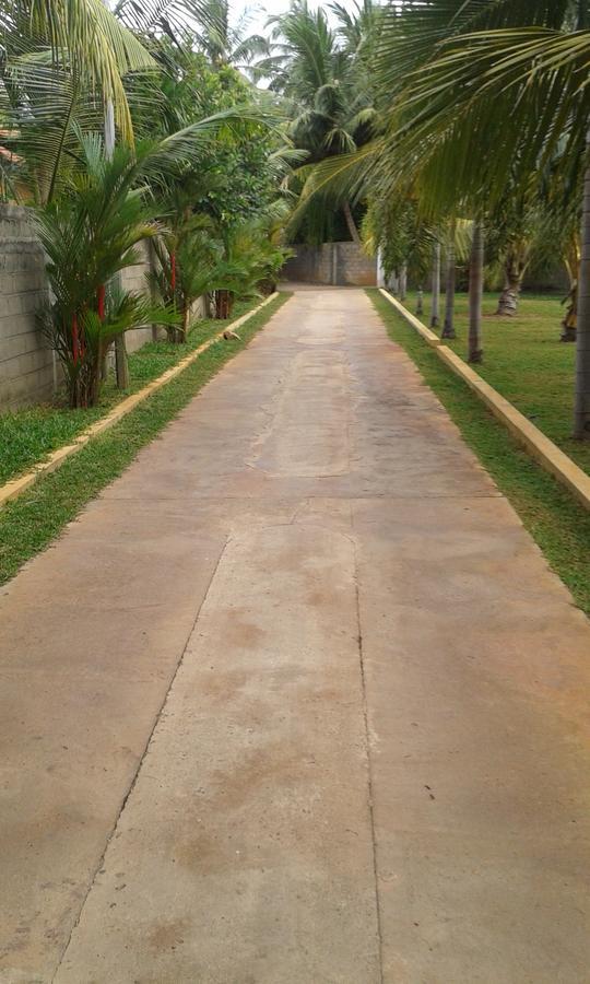 Grand Hilton Hotel Negombo Bagian luar foto